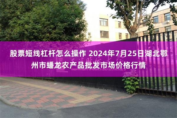 股票短线杠杆怎么操作 2024年7月25日湖北鄂州市蟠龙农产品批发市场价格行情