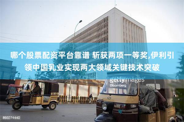 哪个股票配资平台靠谱 斩获两项一等奖,伊利引领中国乳业实现两大领域关键技术突破
