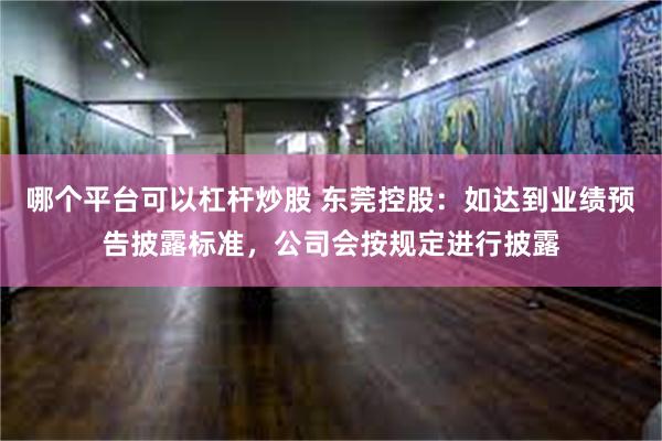 哪个平台可以杠杆炒股 东莞控股：如达到业绩预告披露标准，公司会按规定进行披露