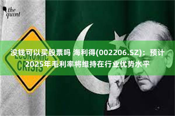 没钱可以买股票吗 海利得(002206.SZ)：预计2025年毛利率将维持在行业优势水平