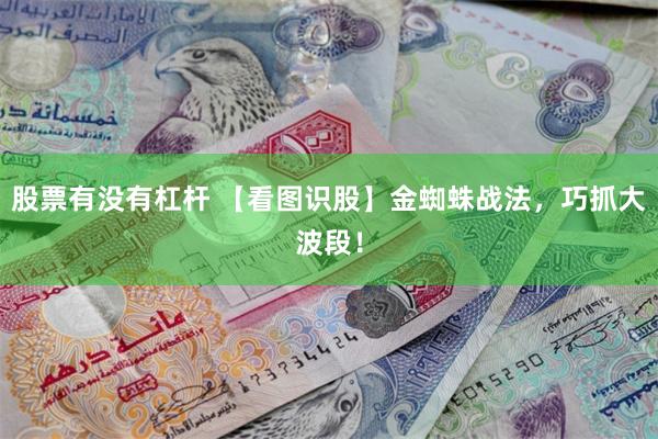 股票有没有杠杆 【看图识股】金蜘蛛战法，巧抓大波段！