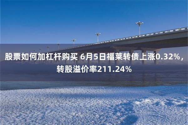 股票如何加杠杆购买 6月5日福莱转债上涨0.32%，转股溢价率211.24%