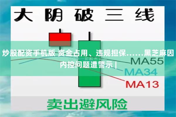 炒股配资手机版 资金占用、违规担保……黑芝麻因内控问题遭警示 |