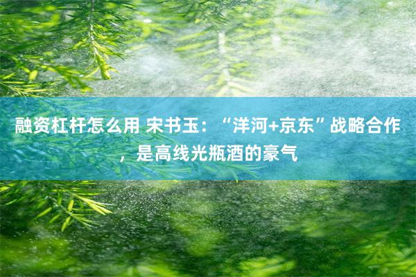 融资杠杆怎么用 宋书玉：“洋河+京东”战略合作，是高线光瓶酒的豪气