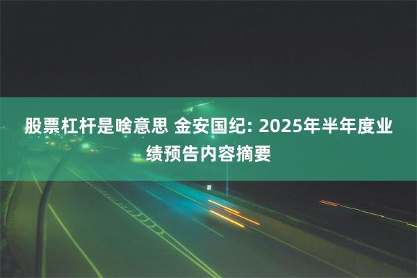 股票杠杆是啥意思 金安国纪: 2025年半年度业绩预告内容摘要
