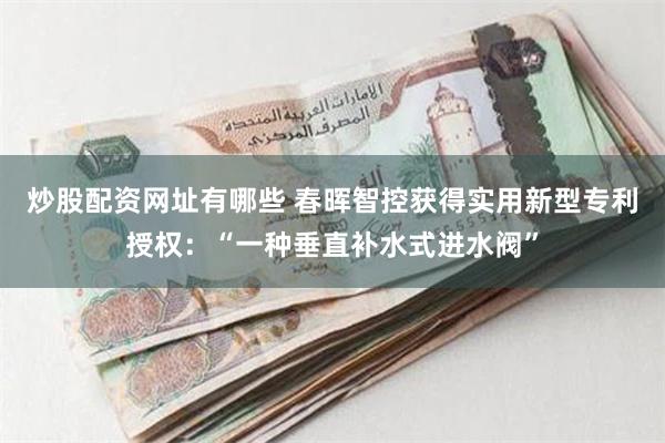 炒股配资网址有哪些 春晖智控获得实用新型专利授权：“一种垂直补水式进水阀”