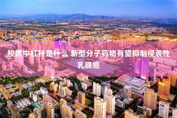 股票中杠杆是什么 新型分子药物有望抑制侵袭性乳腺癌
